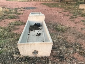 Double Ended Concrete Trough - 2% Buyers Premium On All Lots