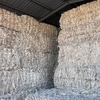 Forage Sorghum Hay 8x4x3