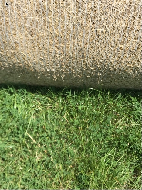 Pasture Rolls Rye / Clover