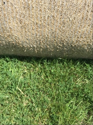 Pasture Rolls Rye / Clover