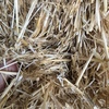 Barley straw  1x B Double load