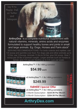 Nutritional Feed Minerals Animals and Pets Supplement