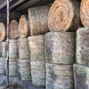 Oaten/Pasture Hay 5x4 Round Bales