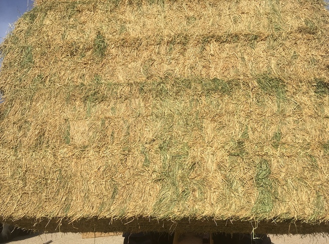 120mt Lucerne Hay 620kg 8x4x3 Bales (4th Cut)