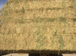 120mt Lucerne Hay 620kg 8x4x3 Bales (4th Cut)