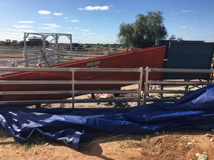 Henry Young Gun Crutcher