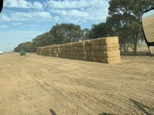 Oaten Straw 520kg 8x4x3 Bales