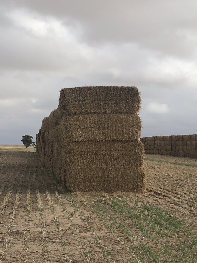 350mt Wheaten Straw 500kg 8x4x3 Bales
