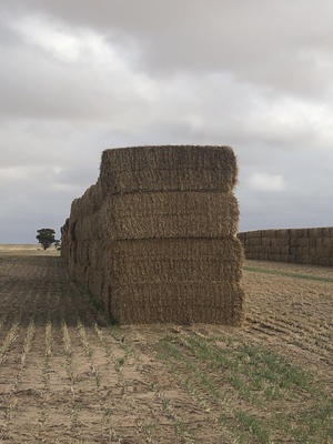 350mt Wheaten Straw 500kg 8x4x3 Bales