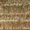 200mt Oaten Hay 600kg 8x4x3 Bales ex farm