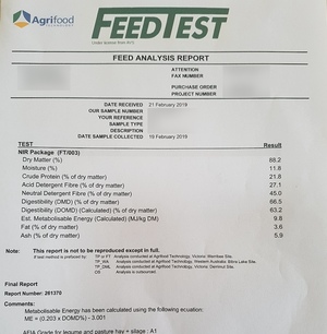Pure Vetch Hay 650kg 8x4x3 Bales + Freight