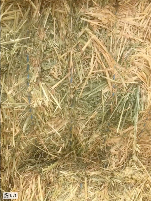 Oaten Hay For Sale in 8x4x3's