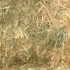Oaten Hay For Sale in 8x4x3's