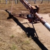 Vennings Grain auger