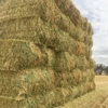Oaten Hay For Sale in 8x4x3's