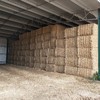 100mt Lucerne Hay 2nd cut 550-600kg 8x4x3 Bales 