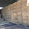 Wheat Hay 8x4x3