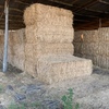 500 x Wheaten Straw 440kg 8x4x3 Bales