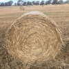 300 x Oaten Hay 4x4 Rolls