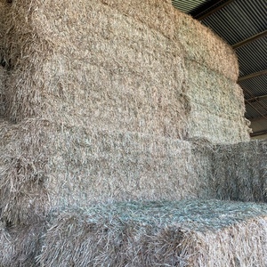 300mt Wheaten Hay 600kg 8x4x3 Bales