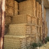 Wheat Straw Bales 8x4x3