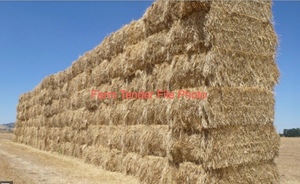 290mt Wheaten Hay 8x4x3 Bales 'New Season'