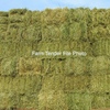 Pasture Hay Small Squares