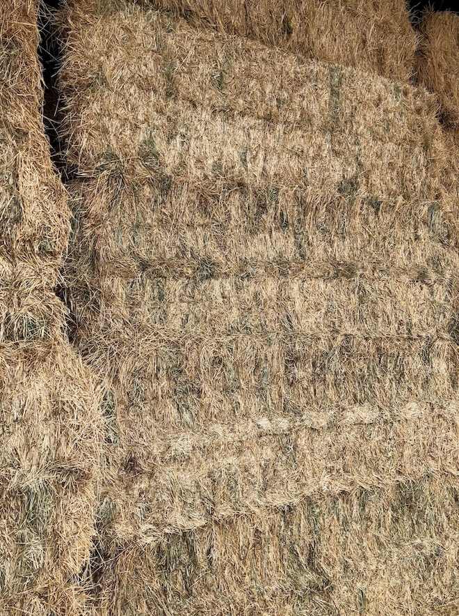 250mt Ryegrass/Clover Hay 640kg 8x4x3 Bales