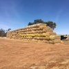 Under Auction - Wheaten Straw 128 - 8x4x3 Bales approx 480 kgs - Sold By The Ton 
