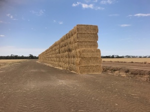 8x4x3 windrowed wheat straw