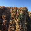 80mt Vetch Hay 600kg 8x4x3 Bales
