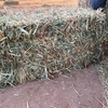 Quality Oaten Hay