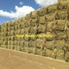 650mt Oaten Hay 500kg 8x4x3 Bales