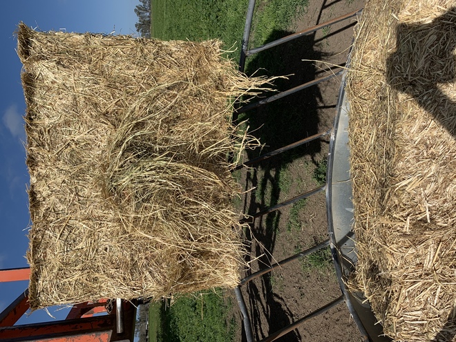 Clover and Rye Hay 8x4x3 HD Bales