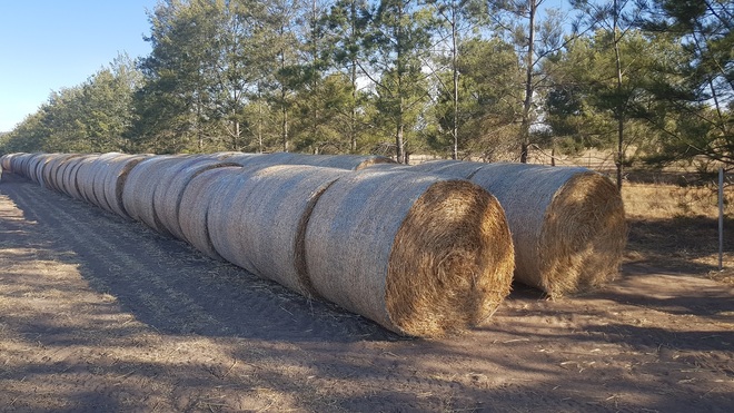 Oaten Hay Rounds 