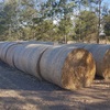 Oaten Hay Rounds 