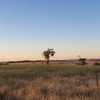 Cattle Agistment Available - 40 acres