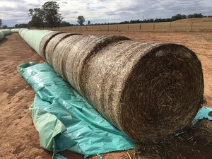 Canola Silage Tube Wrap Round