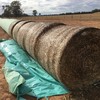 Canola Silage Tube Wrap Round