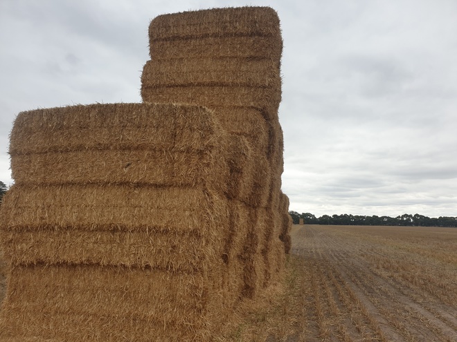 Wheaten Header Trails
