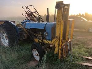 Fordson Major with Forks