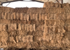 1000 x Pasture Hay Small Squares