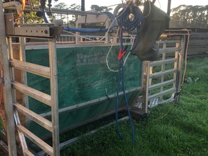 Prattley Weigh Crate