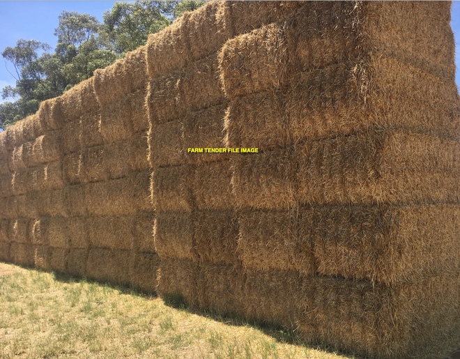 140mt Barley Straw 500kg+ 8x4x3 Bales