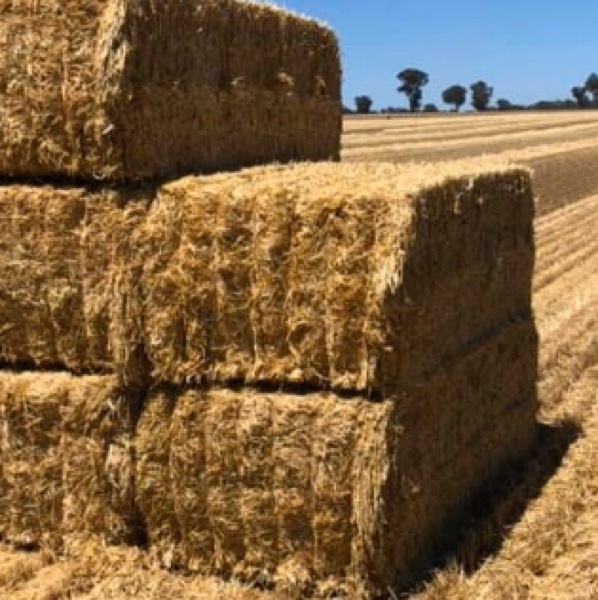 1000mt Wheaten Straw 8x4x3 Bales