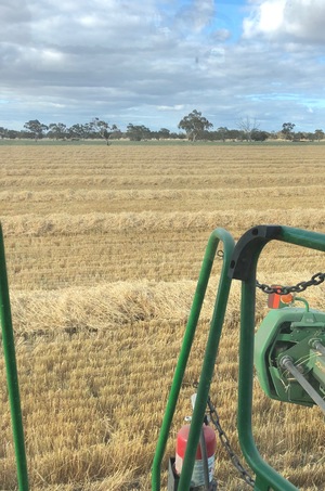 2019 Barley and Wheat Straw