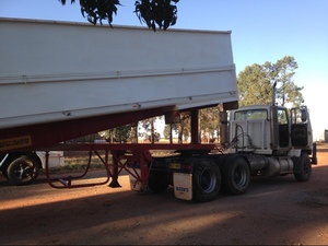 Lusty Allison Bogie Trailer