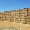 Barley Hay 700kg 8x4x3 Bales 