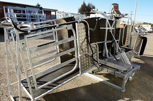 HDale crutch and weigh combo Machine For Sale