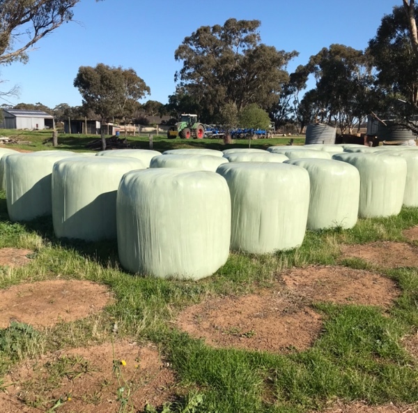 Certified Organic Silage